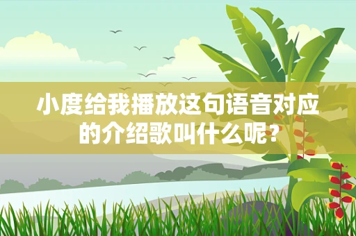 小度给我播放这句语音对应的介绍歌叫什么呢？