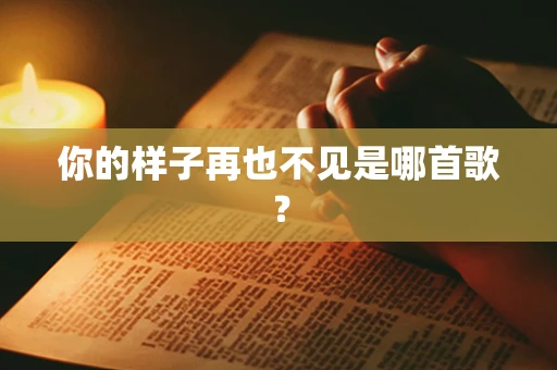 你的样子再也不见是哪首歌？