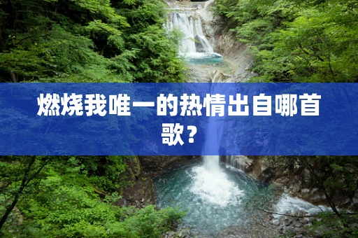 燃烧我唯一的热情出自哪首歌？