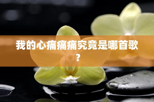 我的心痛痛痛究竟是哪首歌？