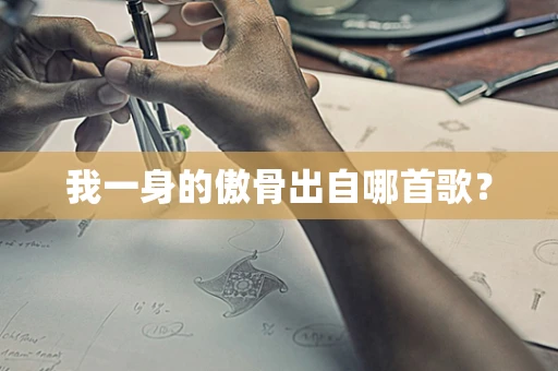 我一身的傲骨出自哪首歌？