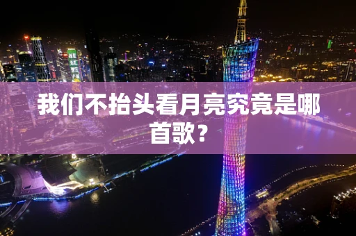 我们不抬头看月亮究竟是哪首歌？