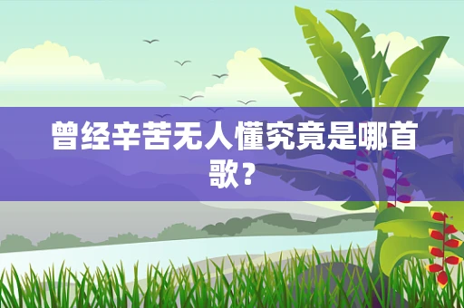 曾经辛苦无人懂究竟是哪首歌？