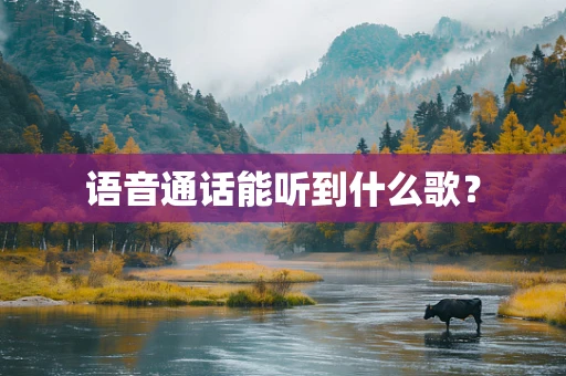 语音通话能听到什么歌？