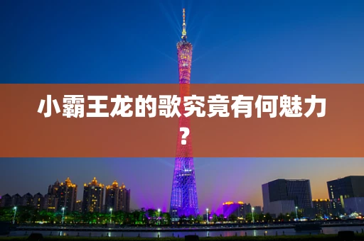 小霸王龙的歌究竟有何魅力？