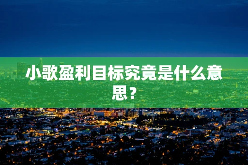 小歌盈利目标究竟是什么意思？