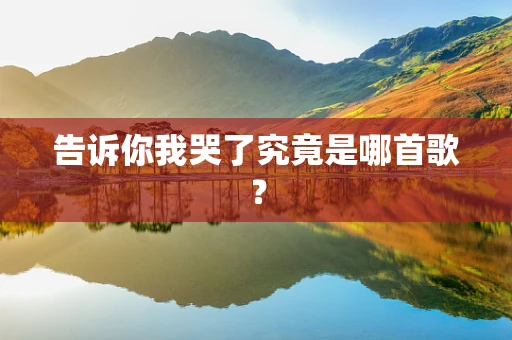 告诉你我哭了究竟是哪首歌？