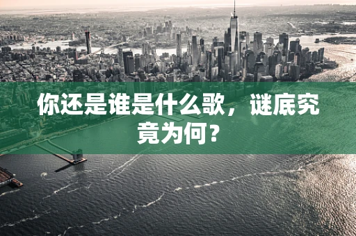 你还是谁是什么歌，谜底究竟为何？