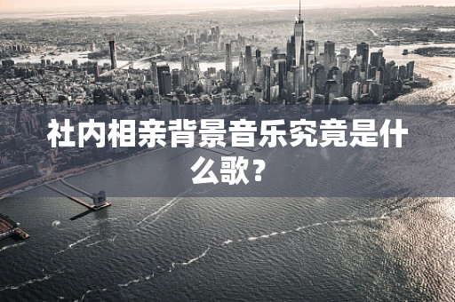 社内相亲背景音乐究竟是什么歌？
