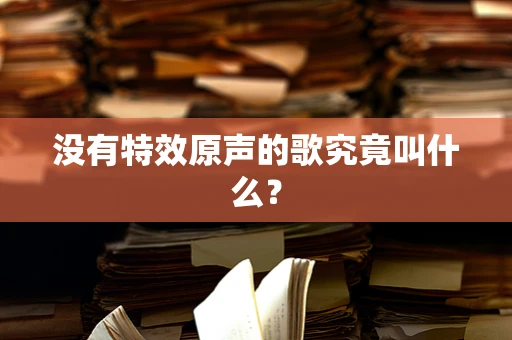 没有特效原声的歌究竟叫什么？