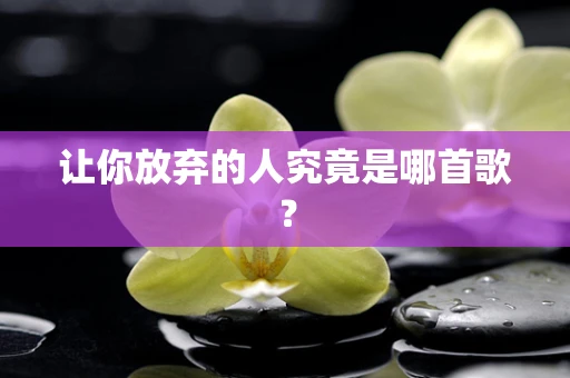 让你放弃的人究竟是哪首歌？