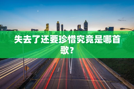 失去了还要珍惜究竟是哪首歌？