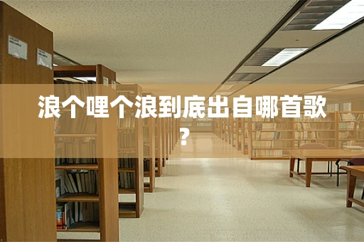 浪个哩个浪到底出自哪首歌？