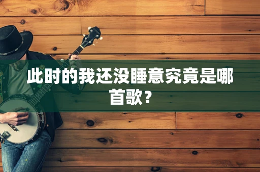 此时的我还没睡意究竟是哪首歌？