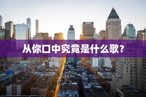 从你口中究竟是什么歌？