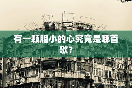有一颗胆小的心究竟是哪首歌？