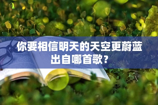 你要相信明天的天空更蔚蓝出自哪首歌？