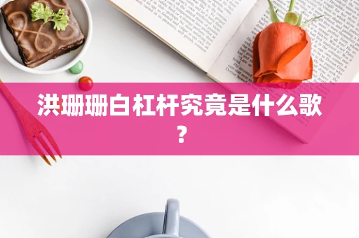洪珊珊白杠杆究竟是什么歌？