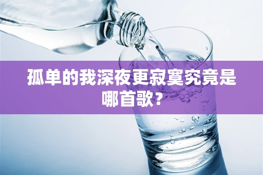 孤单的我深夜更寂寞究竟是哪首歌？
