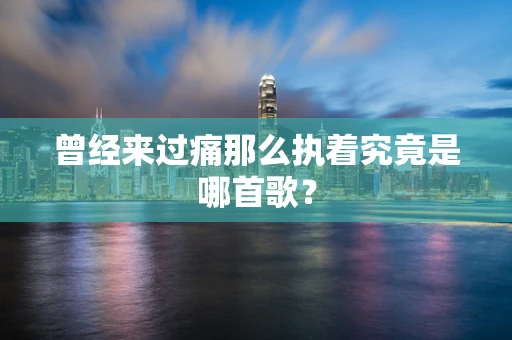 曾经来过痛那么执着究竟是哪首歌？