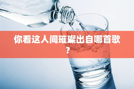 你看这人间璀璨出自哪首歌？