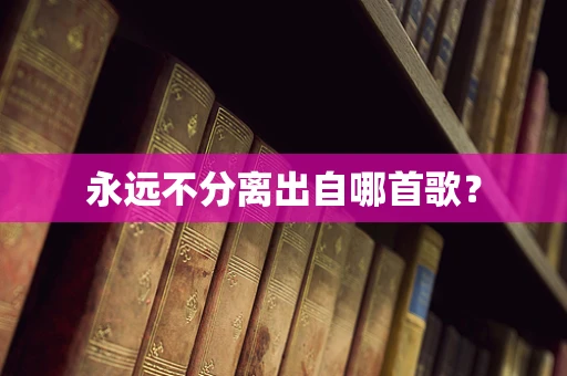 永远不分离出自哪首歌？