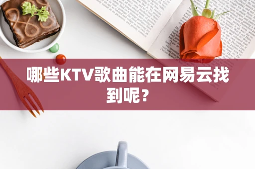 哪些KTV歌曲能在网易云找到呢？