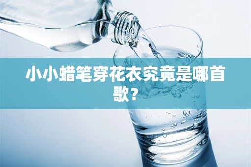 小小蜡笔穿花衣究竟是哪首歌？