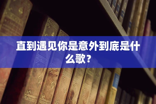 直到遇见你是意外到底是什么歌？