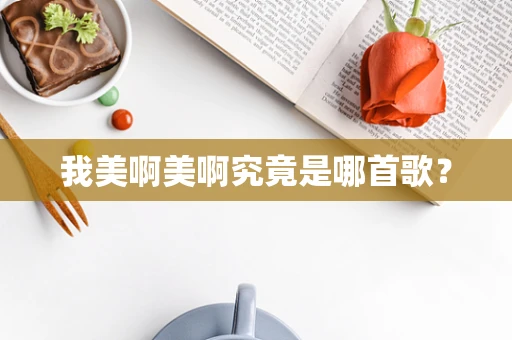 我美啊美啊究竟是哪首歌？