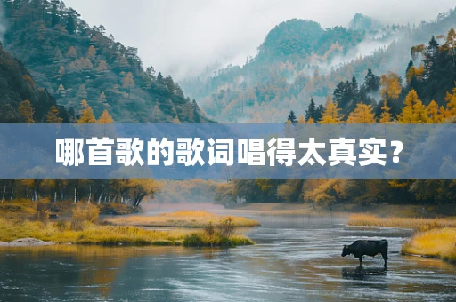 哪首歌的歌词唱得太真实？