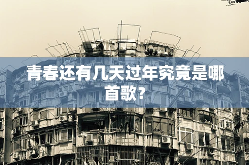 青春还有几天过年究竟是哪首歌？