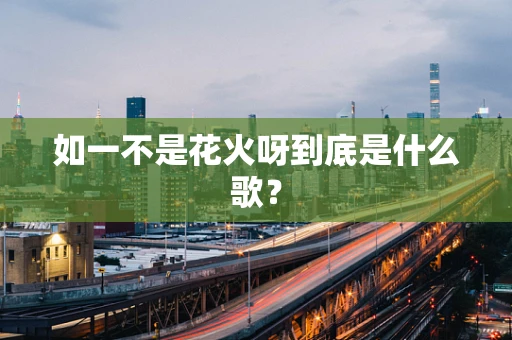 如一不是花火呀到底是什么歌？
