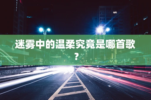 迷雾中的温柔究竟是哪首歌？