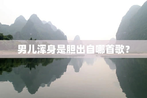 男儿浑身是胆出自哪首歌？
