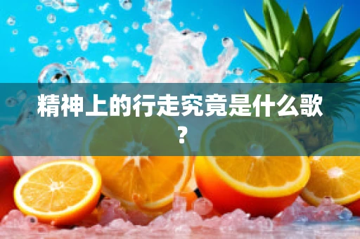 精神上的行走究竟是什么歌？