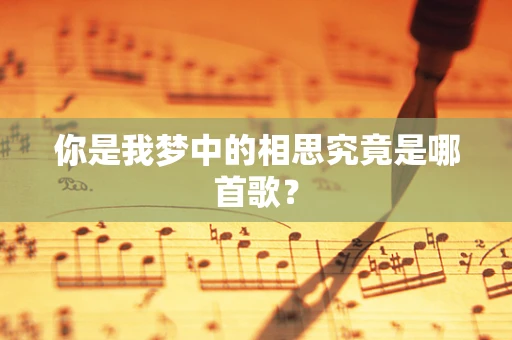 你是我梦中的相思究竟是哪首歌？
