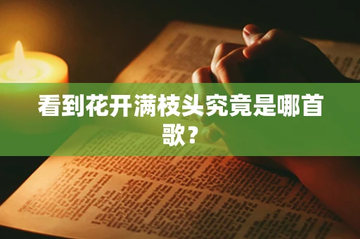 看到花开满枝头究竟是哪首歌？