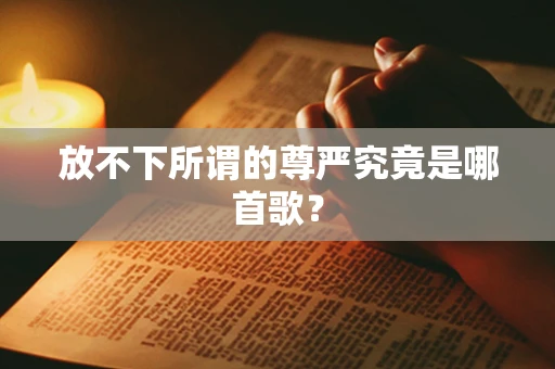 放不下所谓的尊严究竟是哪首歌？