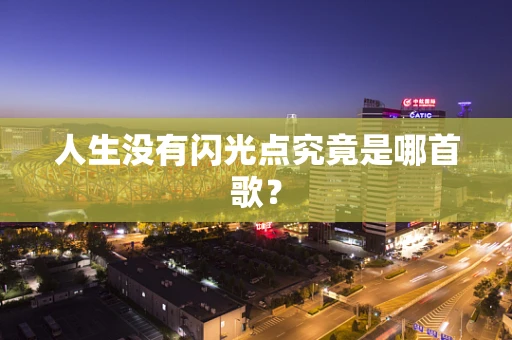 人生没有闪光点究竟是哪首歌？