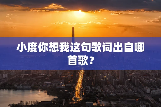 小度你想我这句歌词出自哪首歌？