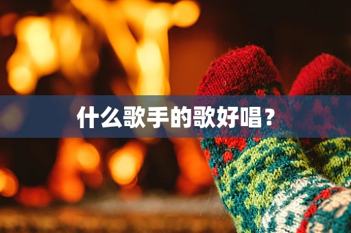 什么歌手的歌好唱？