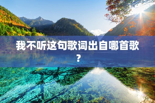 我不听这句歌词出自哪首歌？