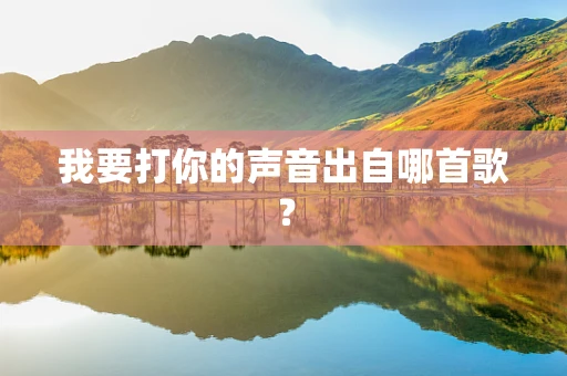 我要打你的声音出自哪首歌？