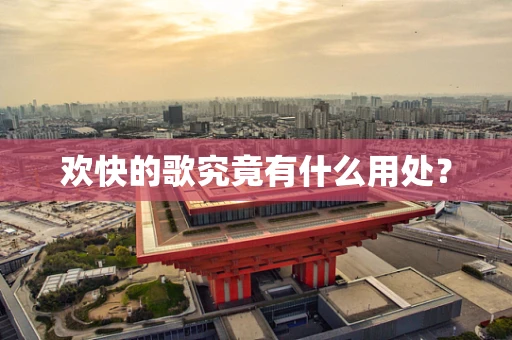 欢快的歌究竟有什么用处？