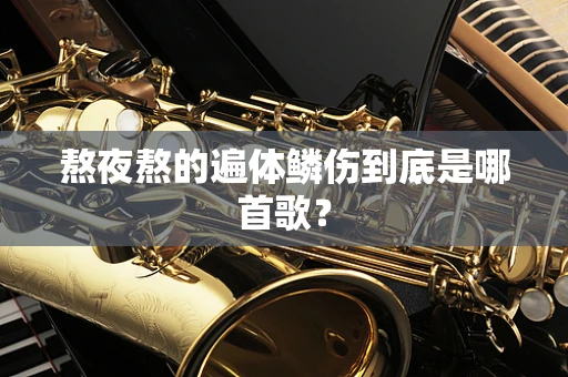 熬夜熬的遍体鳞伤到底是哪首歌？