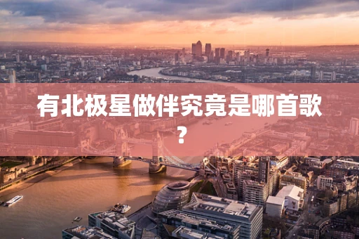 有北极星做伴究竟是哪首歌？