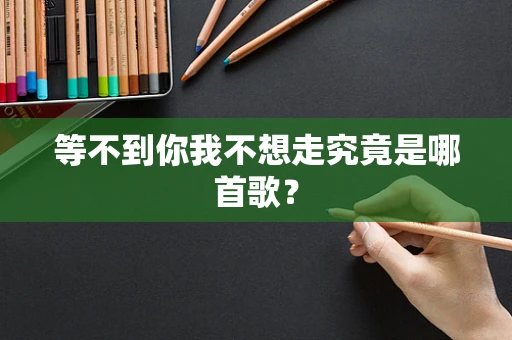 等不到你我不想走究竟是哪首歌？