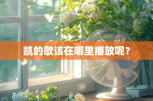 凯的歌该在哪里播放呢？