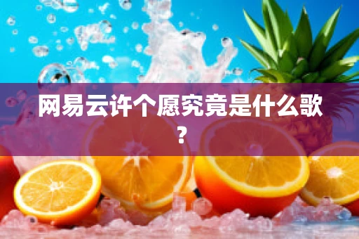 网易云许个愿究竟是什么歌？
